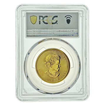 Graded 2020 Gold Canadian Maple 