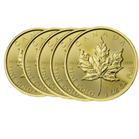 1 Oz Gold Maple - 5 Coin Bundle 